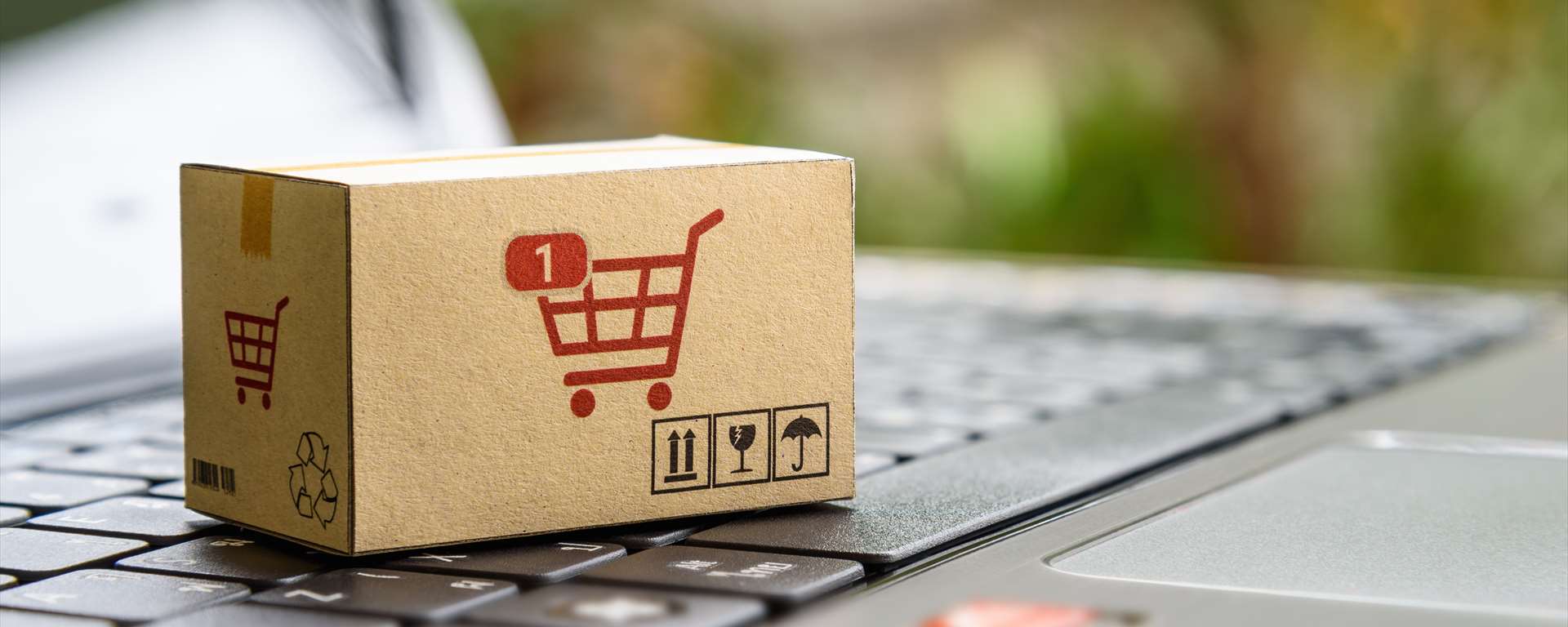 Spezialistin in der Textil-Branche mit fundiertem E-Commerce-Knowhow